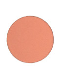 Pink Eyeshadow Refill