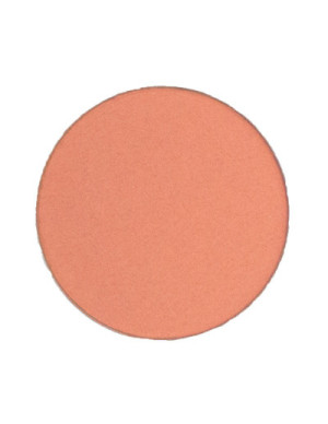 Pink Eyeshadow Refill