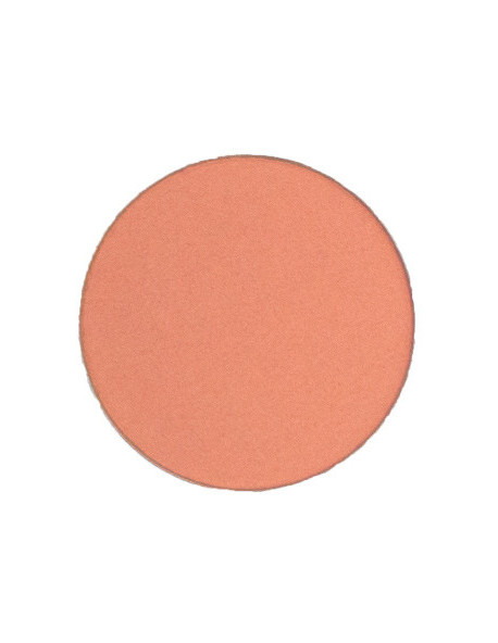 Pink Eyeshadow Refill