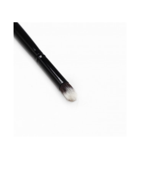 Orange Dot Brush 18