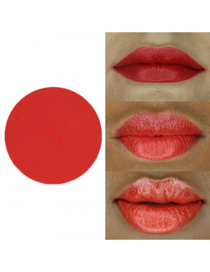 LER30 Strawberry Lipstick Refill