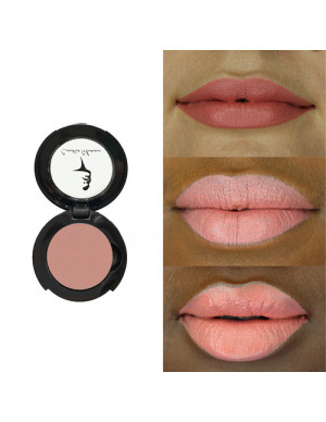 LPP2 Barely Pink Lipstick...