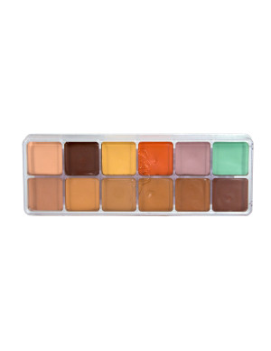 12 Shade Concealer and...